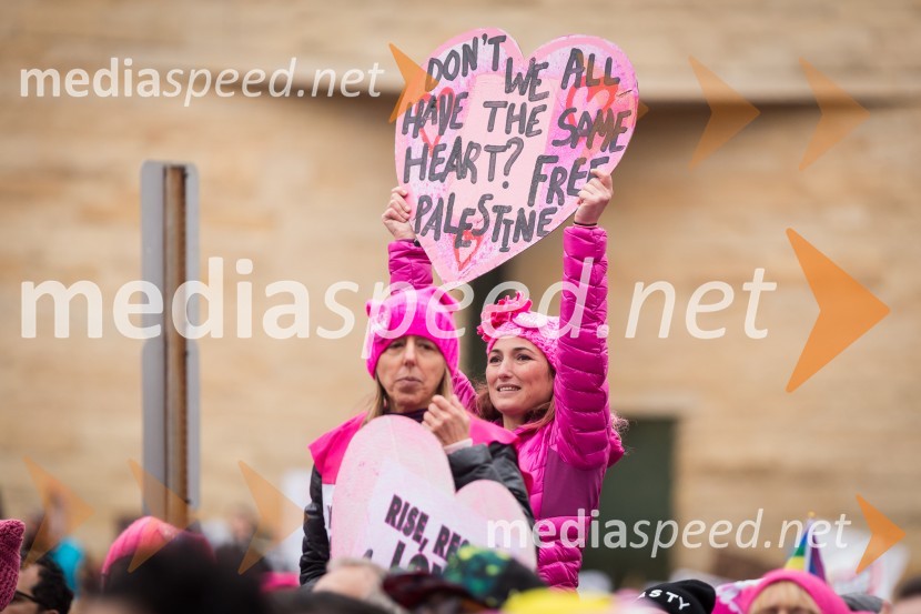 Protestni pohod žensk v Washington