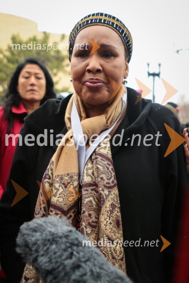 Protestni pohod žensk v Washington