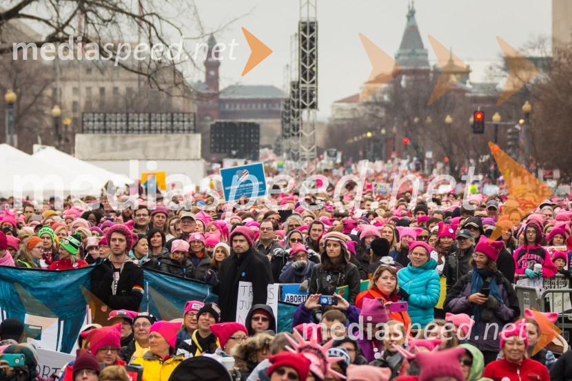 Protestni pohod žensk v Washington