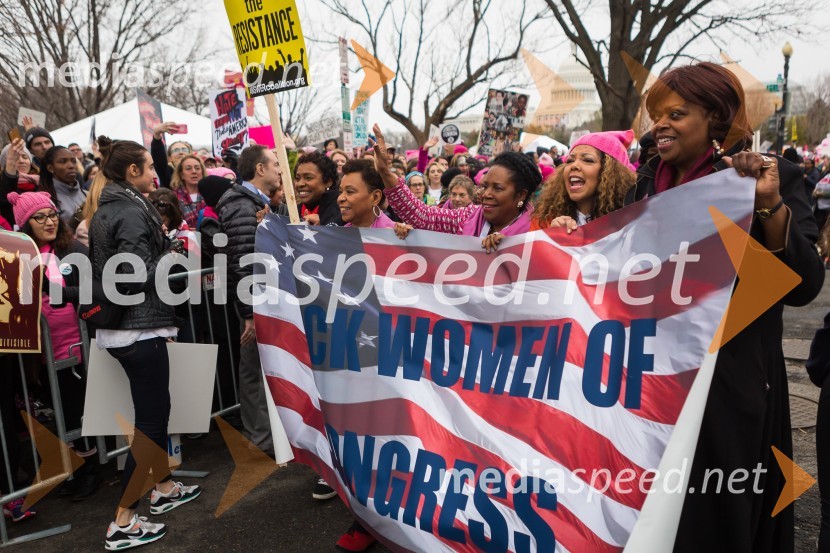 Protestni pohod žensk v Washington