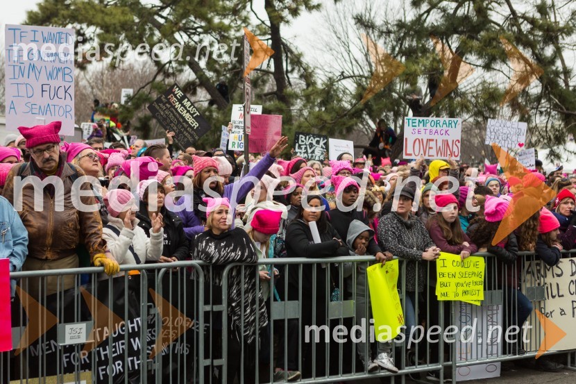 Protestni pohod žensk v Washington