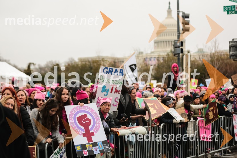 Protestni pohod žensk v Washington