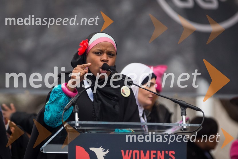 Protestni pohod žensk v Washington