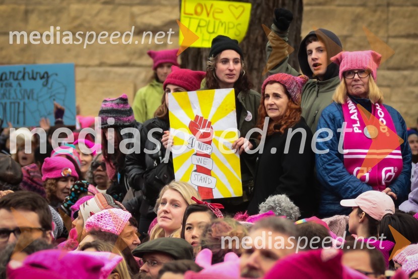 Protestni pohod žensk v Washington
