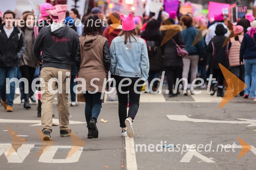 Protestni pohod žensk v Washington