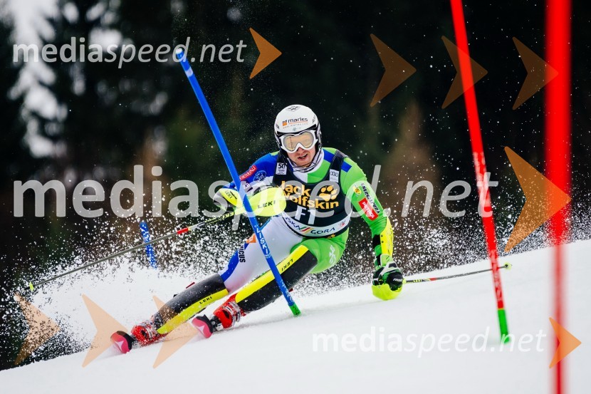Pokal Vitranc 2017, slalom