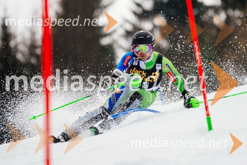 Pokal Vitranc 2017, slalom