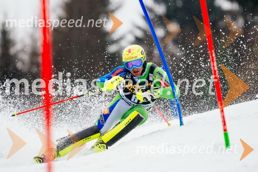 Pokal Vitranc 2017, slalom
