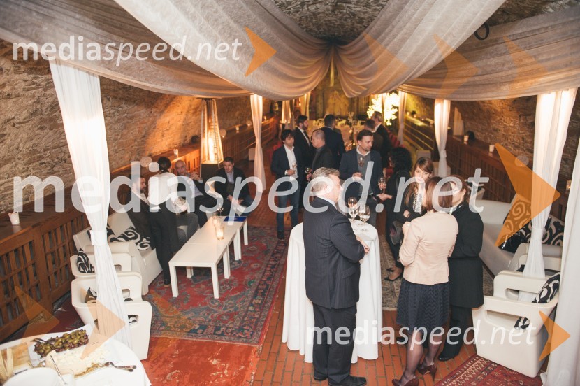 Prvo srečanje novo ustanovljenega Slovensko-srbskega poslovnega društva BASSPrvo srečanje novo ustanovljenega Slovensko-srbskega poslovnega društva BASS