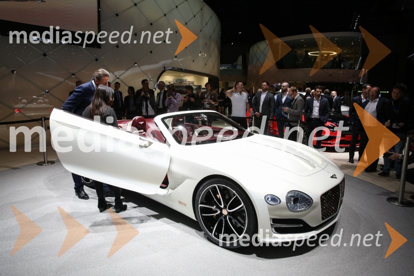 87. Mednarodni avtomobilski salon Ženeva 2017