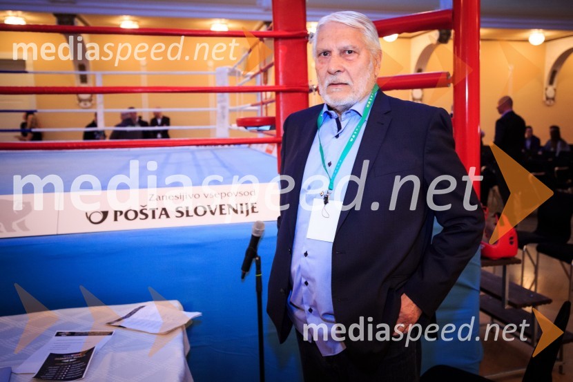  Boris Cavazza, igralecDejan Zavec Boxing Gala