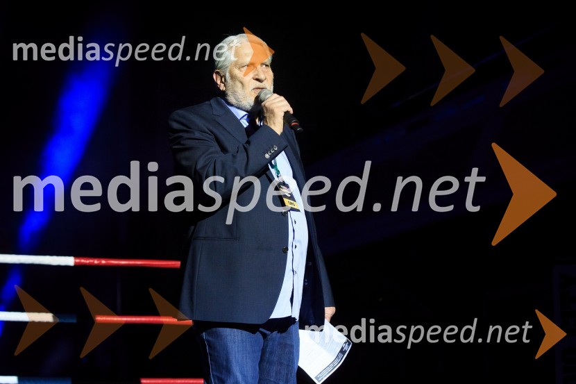  Boris Cavazza, igralecDejan Zavec Boxing Gala