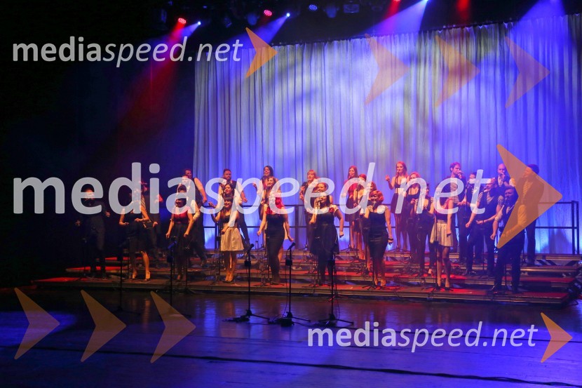 Perpetuum JazzilePerpetuum Jazzile, koncert