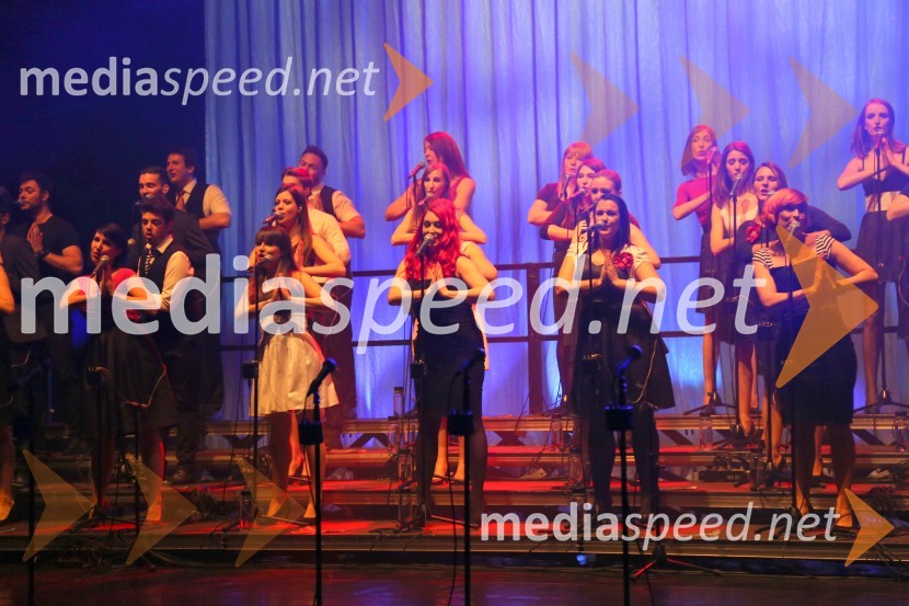 Perpetuum JazzilePerpetuum Jazzile, koncert