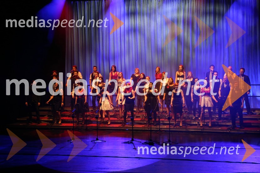 Perpetuum Jazzile, koncert