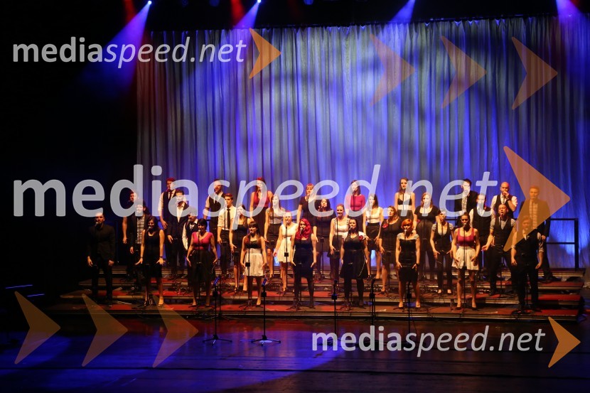 Perpetuum JazzilePerpetuum Jazzile, koncert