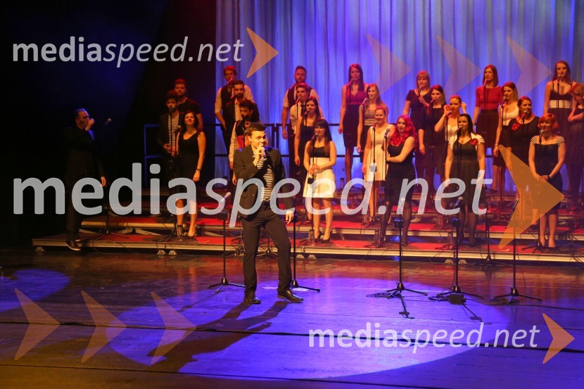 Perpetuum Jazzile, koncert