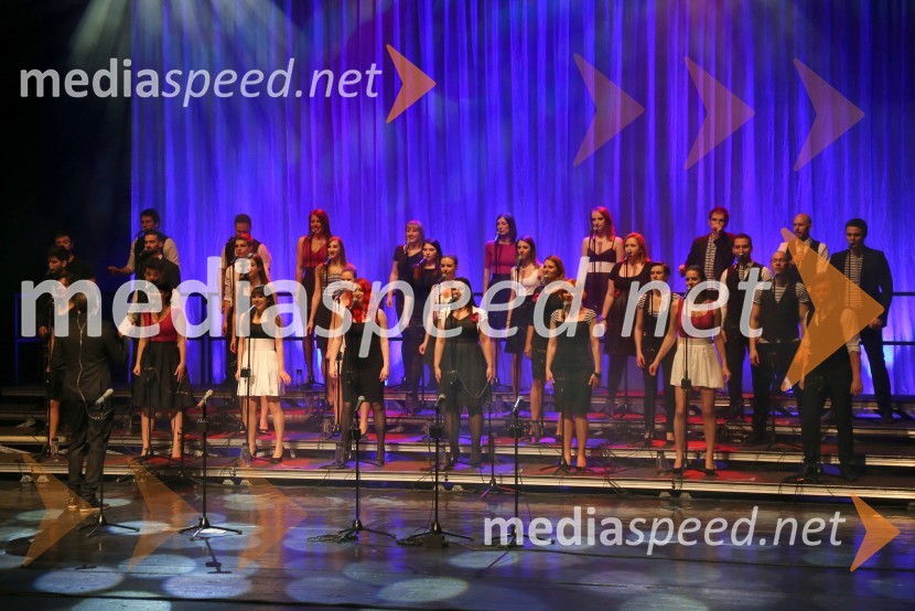Perpetuum JazzilePerpetuum Jazzile, koncert
