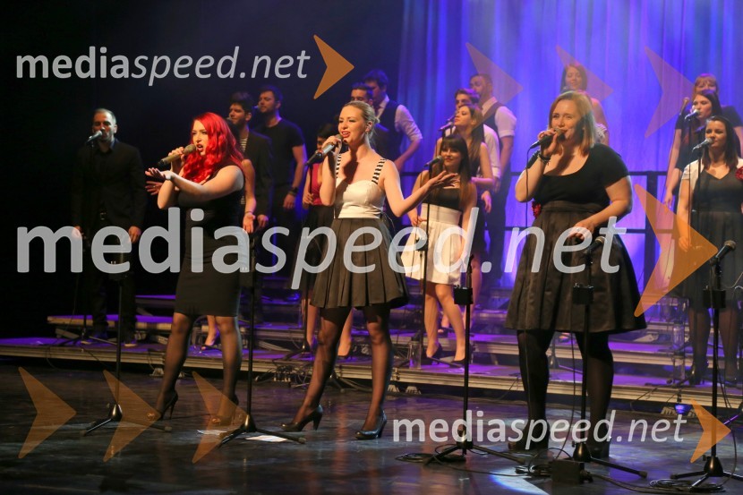 Perpetuum Jazzile, koncert