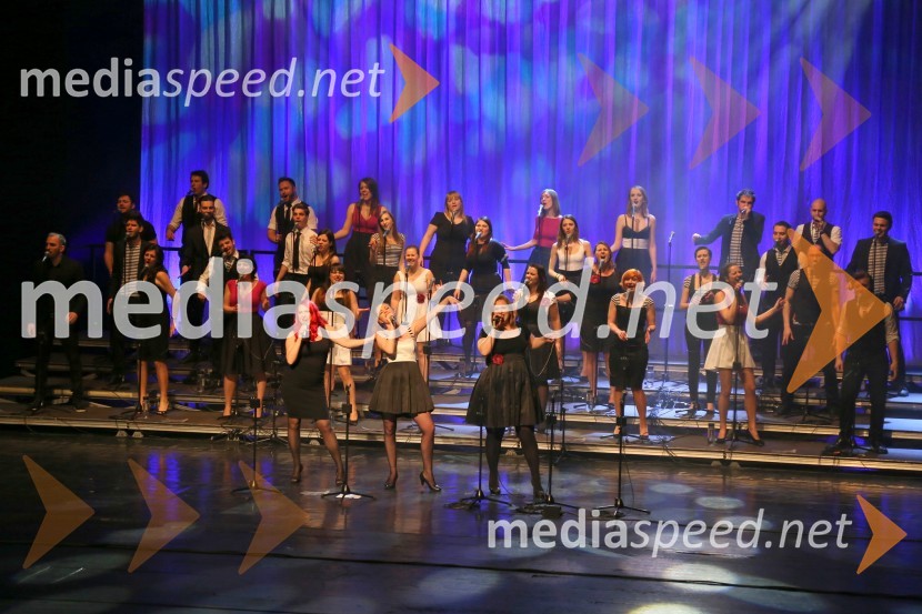 Perpetuum Jazzile, koncert