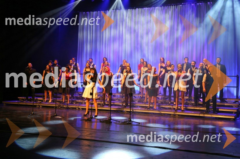 Perpetuum Jazzile, koncert