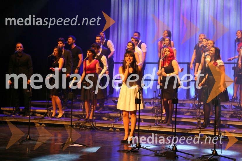 Perpetuum Jazzile, koncert