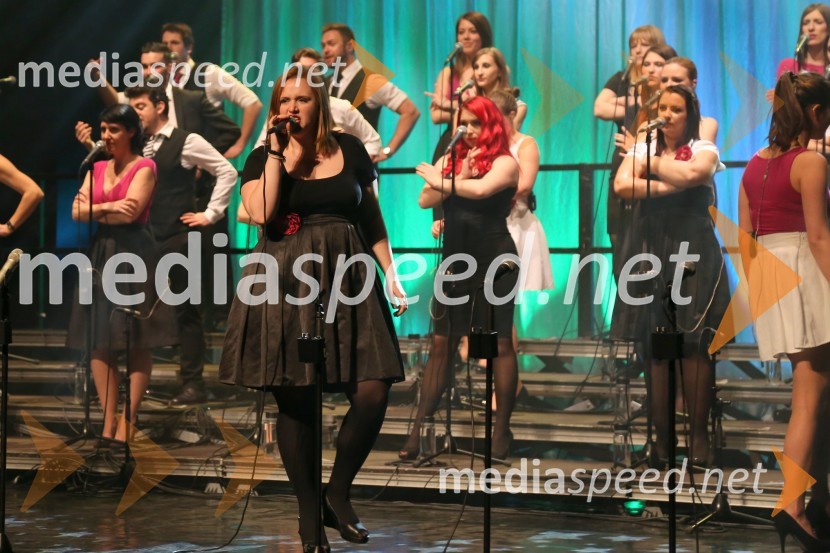 Perpetuum Jazzile, koncert