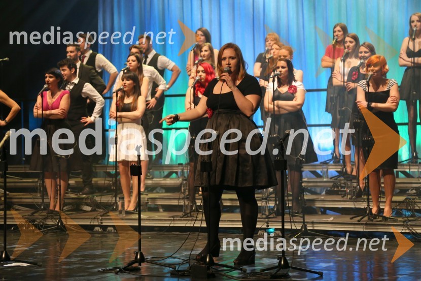 Perpetuum Jazzile, koncert