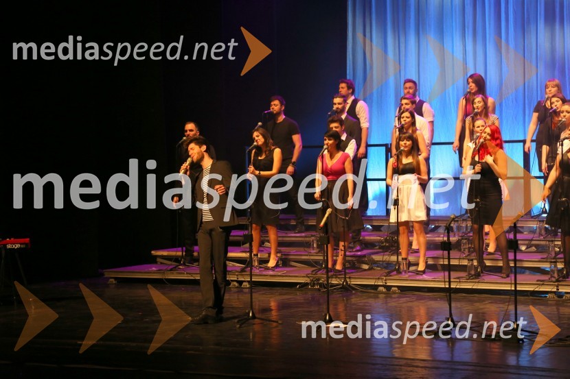 Perpetuum Jazzile, koncert