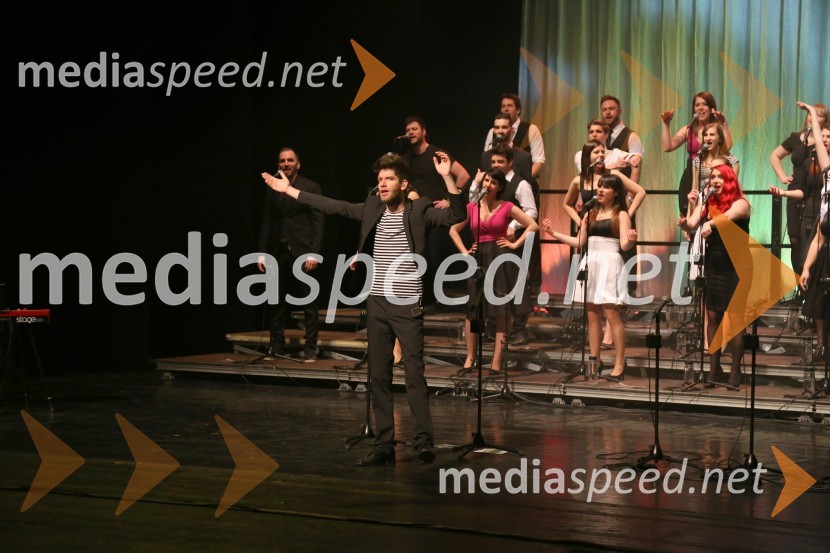 Perpetuum Jazzile, koncert