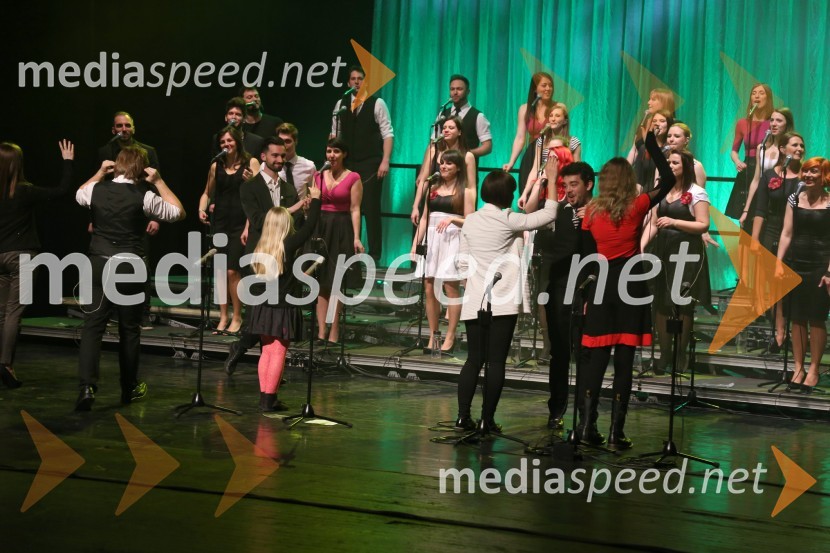 Perpetuum Jazzile, koncert