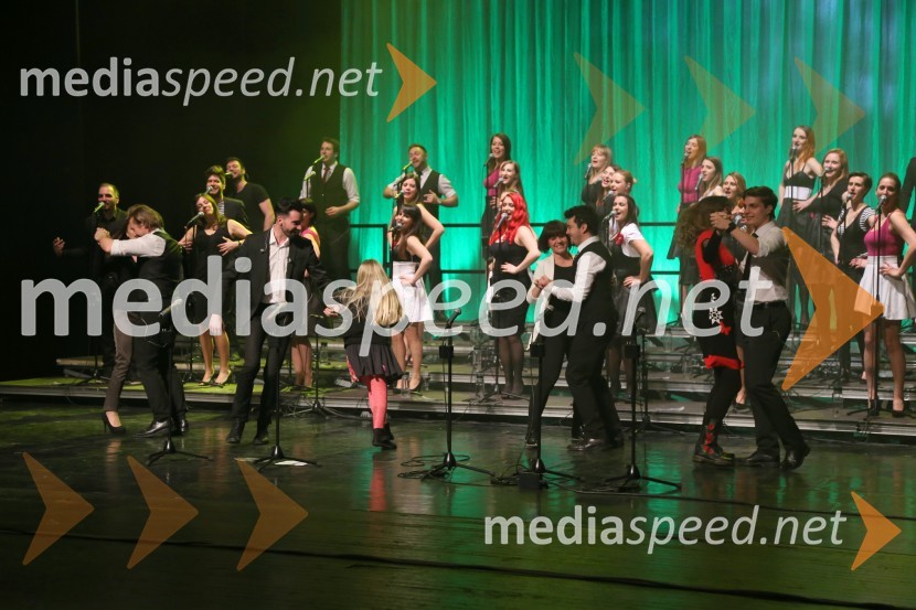 Perpetuum Jazzile, koncert