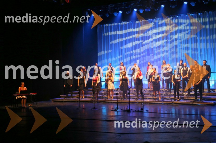 Perpetuum Jazzile, koncert