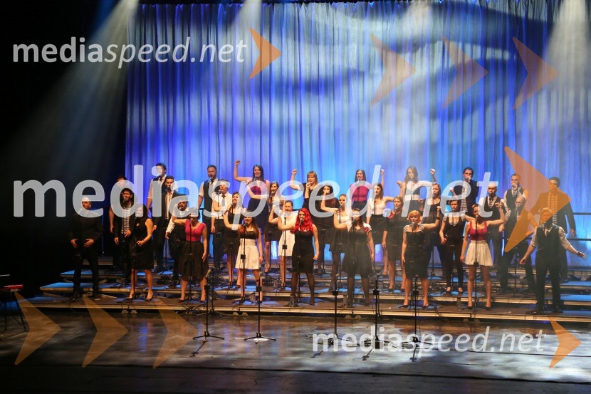 Perpetuum Jazzile, koncert