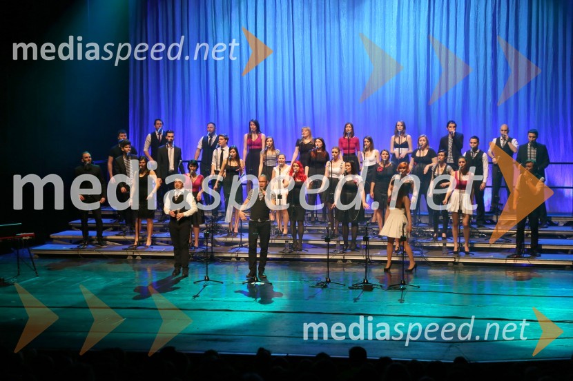 Perpetuum Jazzile, koncert
