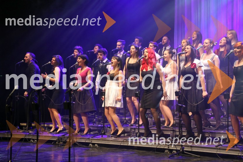 Perpetuum JazzilePerpetuum Jazzile, koncert