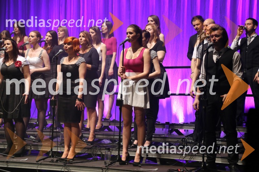 Perpetuum JazzilePerpetuum Jazzile, koncert