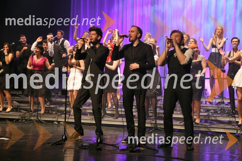 Perpetuum Jazzile, koncert
