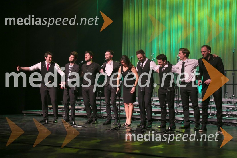 Perpetuum Jazzile, koncert