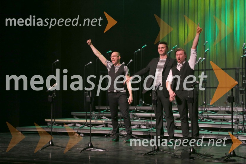  Jan Trost, skupina Perpetuum Jazzile;  ... ;  Tadej  Premužič, član skupine Perpetuum JazzilePerpetuum Jazzile, koncert