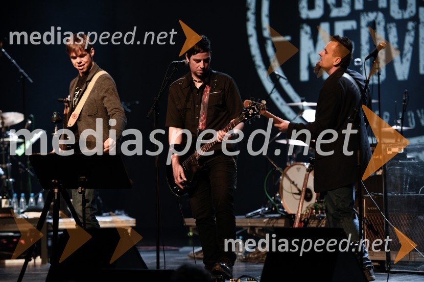 Peter Lovšin, 40 let glasbene kariere