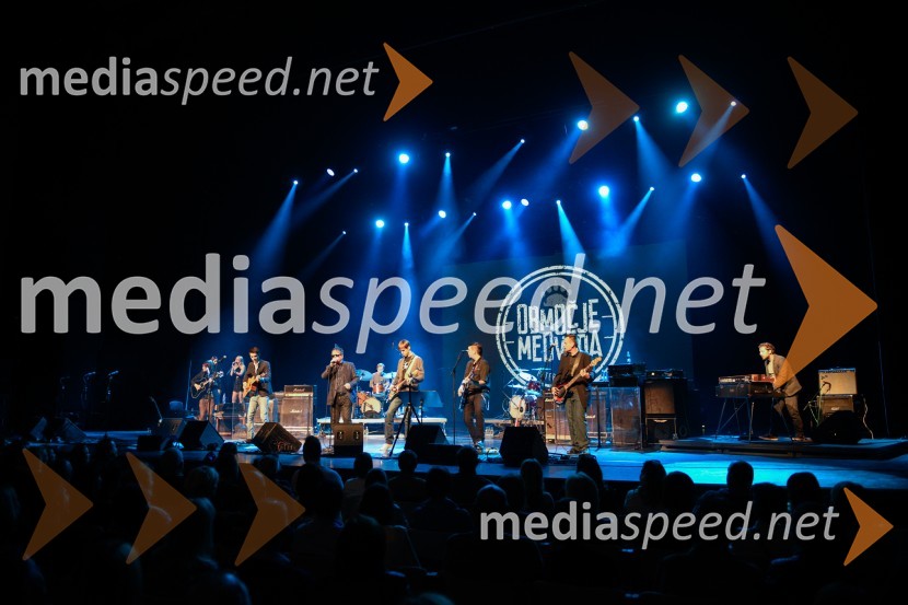 Peter Lovšin, 40 let glasbene kariere