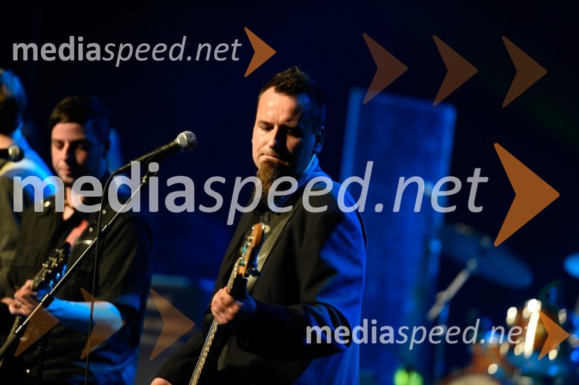 Peter Lovšin, 40 let glasbene kariere