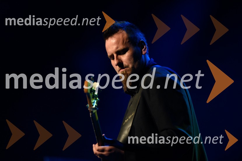 Peter Lovšin, 40 let glasbene kariere