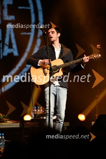 Peter Lovšin, 40 let glasbene kariere