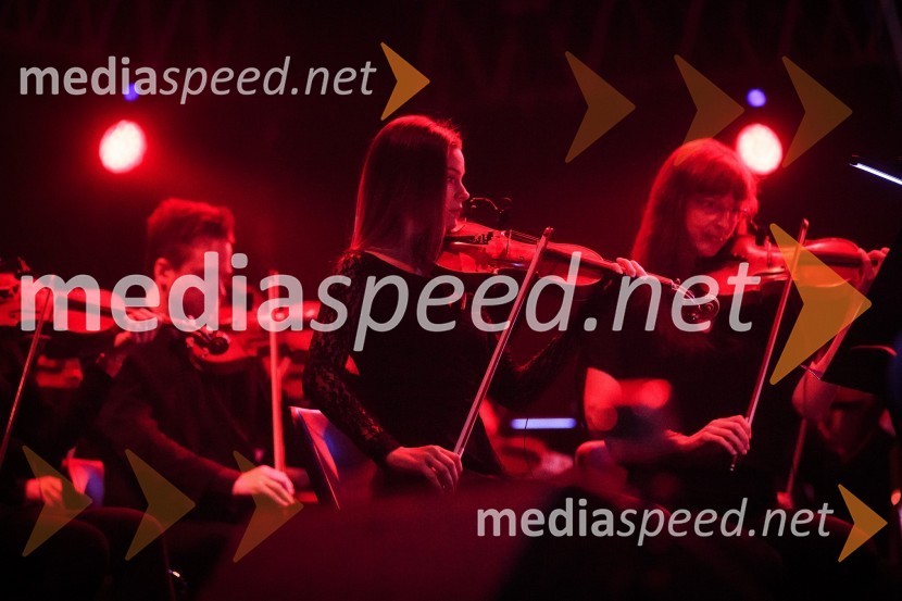 2Cellos, koncertKoncert 2Cellos in VIP sprejem, PRVA osebna zavarovalnica