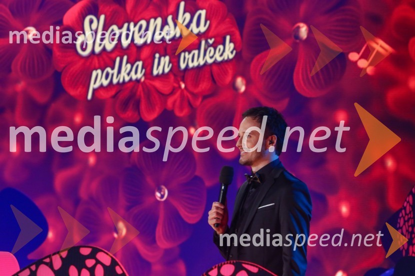  Blaž Švab, pevec, skupina ModrijaniSlovenska polka in valček 2017