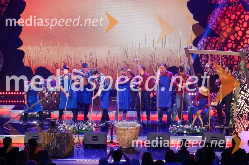 Slovenska polka in valček 2017Slovenska polka in valček 2017