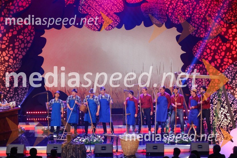 Slovenska polka in valček 2017Slovenska polka in valček 2017