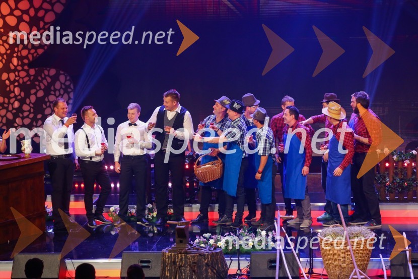 Slovenska polka in valček 2017Slovenska polka in valček 2017